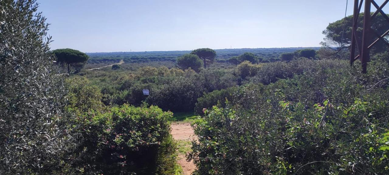 فيلا Casa En Loma Sancti Petri A 900 M De La Playa De La Barrosa شيكلانا دي لا فرونتيرا المظهر الخارجي الصورة